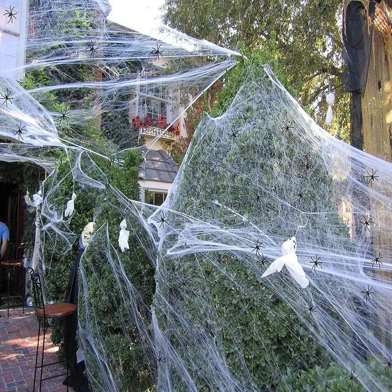 spider web Halloween Decoration