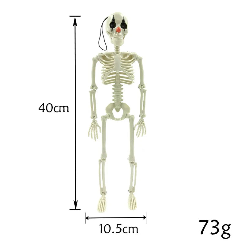 Halloween Decoration  skeleton  Accessories