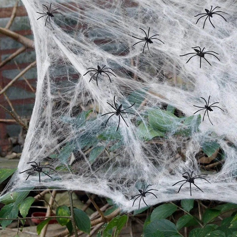 spider web Halloween Decoration