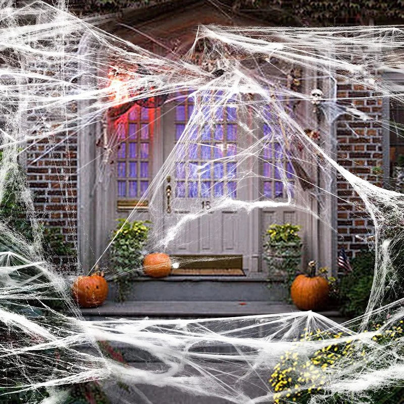 spider web Halloween Decoration